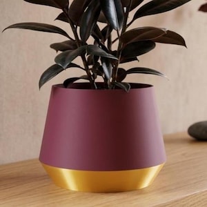 Pode incluir: Uma planta de borracha com folhas ovais, escuras e brilhantes, colocada num vaso cónico bordeaux mate com uma base metálica larga em tom dourado polido. A planta está direita com vários caules e folhagem verde-escura a quase preta.