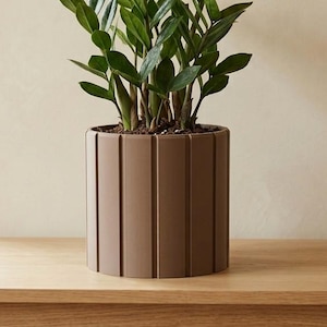 Peut inclure: Une plante ZZ aux feuilles pennées vert foncé et brillantes poussant sur des tiges épaisses, plantée dans un pot cylindrique marron mat doté de rainures verticales régulièrement espacées sur toute la surface extérieure.