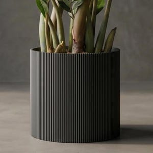 May include: A cylindrical, dark gray planter with vertical ribbed detailing. The planter holds a lush green plant with multiple stalks and leaves. The background is a neutral gray, highlighting the modern design of the planter.