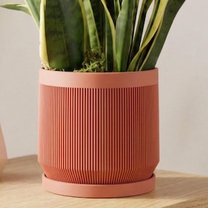 May include: A potted snake plant in a terracotta-colored, ribbed planter. The plant has long, upright green leaves with yellow edges. The planter sits on a wooden shelf, with a white geometric vase to the left.