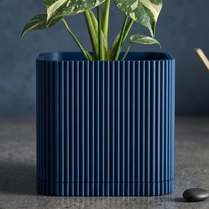 May include: A potted Monstera plant with large, variegated leaves in a navy blue, ribbed square planter. The leaves are green with yellow and white variegation. A small, black stone sits near the planter.