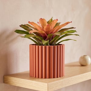 May include: A potted plant with vibrant orange and green leaves sits in a terracotta-colored, vertically ribbed planter. The plant is on a light-colored wooden shelf, with a small, round, white decorative object in the background.