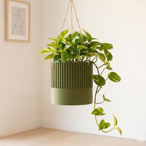 May include: A cylindrical olive green hanging planter with a vertical ribbed texture on the upper half and a smooth base. The planter is suspended by thin brown cords and contains a trailing pothos plant with variegated green and yellow leaves.