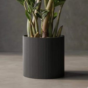May include: A dark grey cylindrical planter with vertical ribbed detailing, holding a ZZ plant. The plant has multiple green stems and leaves. The pot is made of a solid material and sits on a neutral surface, creating a modern, minimalist aesthetic.