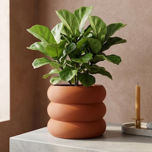 May include: A potted Fiddle Leaf Fig plant in a terracotta-colored, stacked-ring planter. The plant has large, vibrant green leaves. A lit candle in a gold holder sits on a small, round tray to the right of the plant.