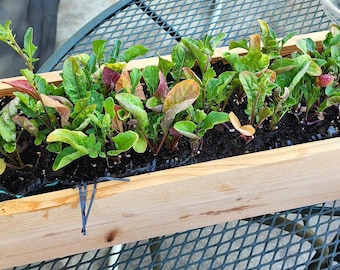 Trough Planter | Window Box - Cedar 20" x 6.5" x 5.5"