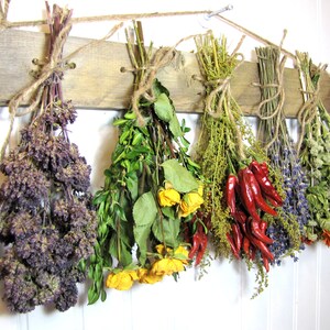 May include: A rustic wooden rack with six bundles of dried herbs and flowers hanging from it. The bundles include purple oregano, yellow roses, green herbs, red chili peppers, lavender, and dried flowers.