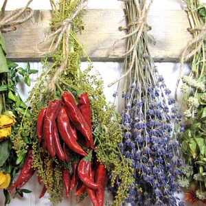 May include: Dried red chili peppers, lavender, and other herbs are tied together with twine and hung on a wooden board.