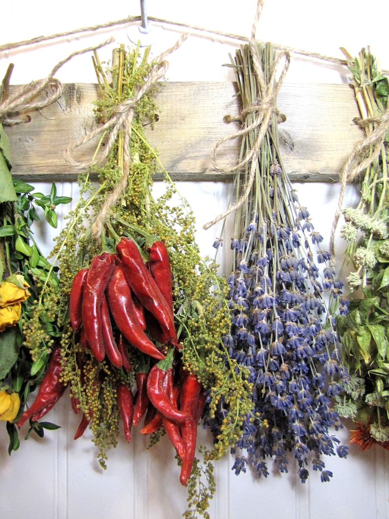 May include: Dried red chili peppers, lavender, and other herbs are tied together with twine and hung on a wooden board.