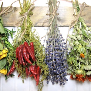 May include: Five bundles of dried herbs and flowers hanging from a wooden board. The bundles include yellow roses, red chili peppers, lavender, and a mix of green herbs.
