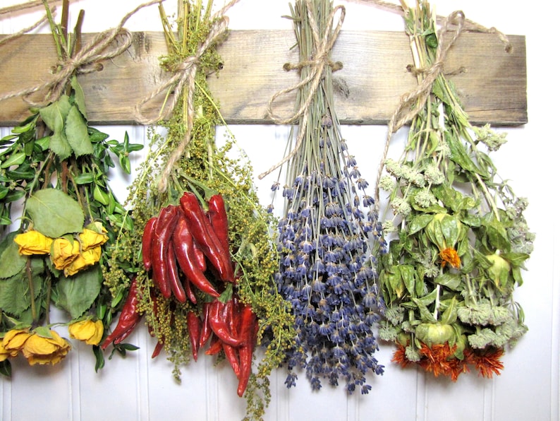 May include: Five bundles of dried herbs and flowers hanging from a wooden board. The bundles include yellow roses, red chili peppers, lavender, and a mix of green herbs.