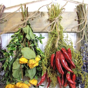 May include: Dried herbs and red chili peppers hanging on a rustic wooden board. The herbs include lavender, rosemary, and other unidentified plants. The chili peppers are bright red and have a glossy finish.