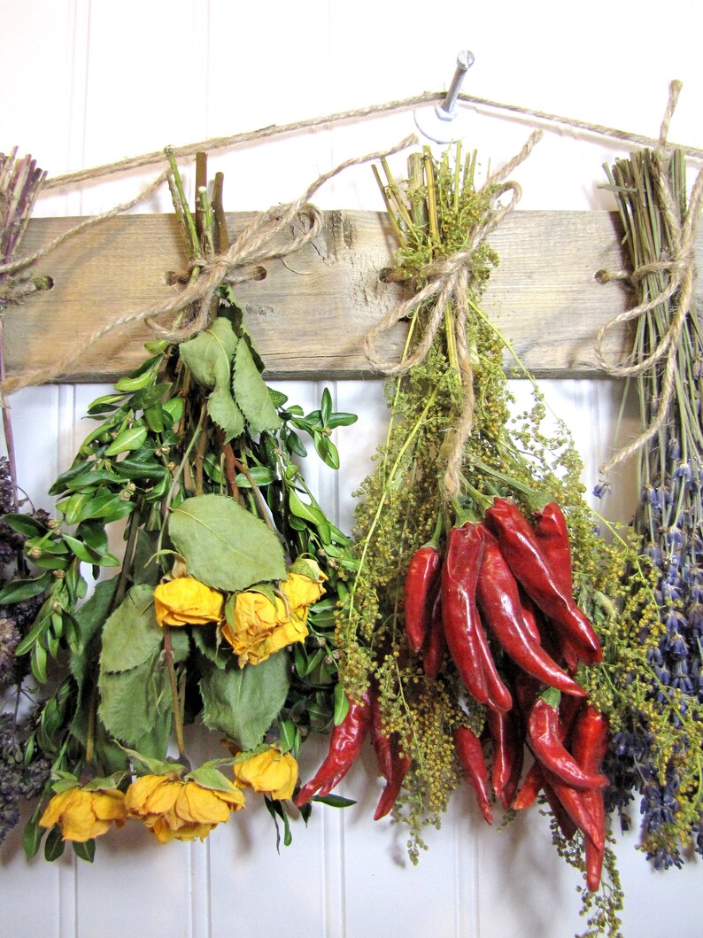 May include: Dried herbs and red chili peppers hanging on a rustic wooden board. The herbs include lavender, rosemary, and other unidentified plants. The chili peppers are bright red and have a glossy finish.