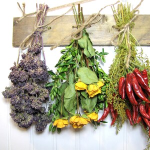 May include: Dried herbs and flowers hanging on a wooden rack. The herbs include oregano, lavender, and chili peppers. The flowers are yellow roses.