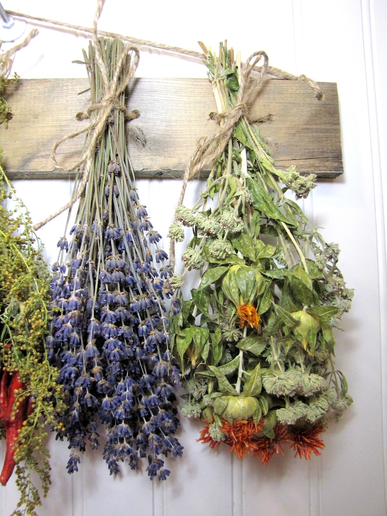 May include: Three bundles of dried herbs hanging from a wooden board. The bundle on the left is lavender, the middle bundle is a mix of herbs, and the bundle on the right is a mix of herbs with orange flowers.