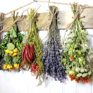 May include: A rustic wooden rack with six bundles of dried herbs and flowers hanging from it. The bundles include lavender, red chili peppers, yellow roses, and various green herbs.