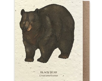 Sunrise Bear - Note Cards Included 4 5x7 Black Bear Note Card Set