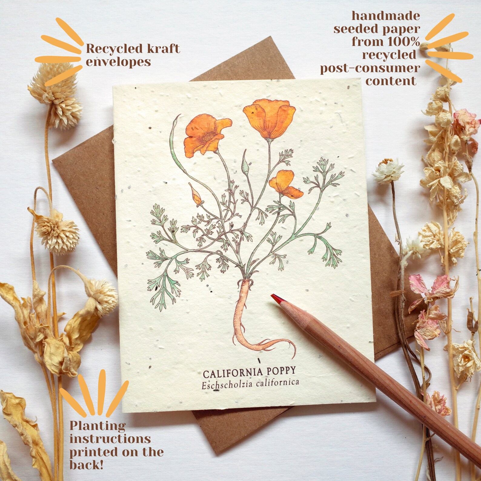 squash bee greeting card plantable seed paper blank inside