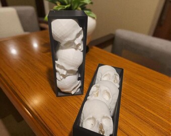 Rincones de libros de calaveras