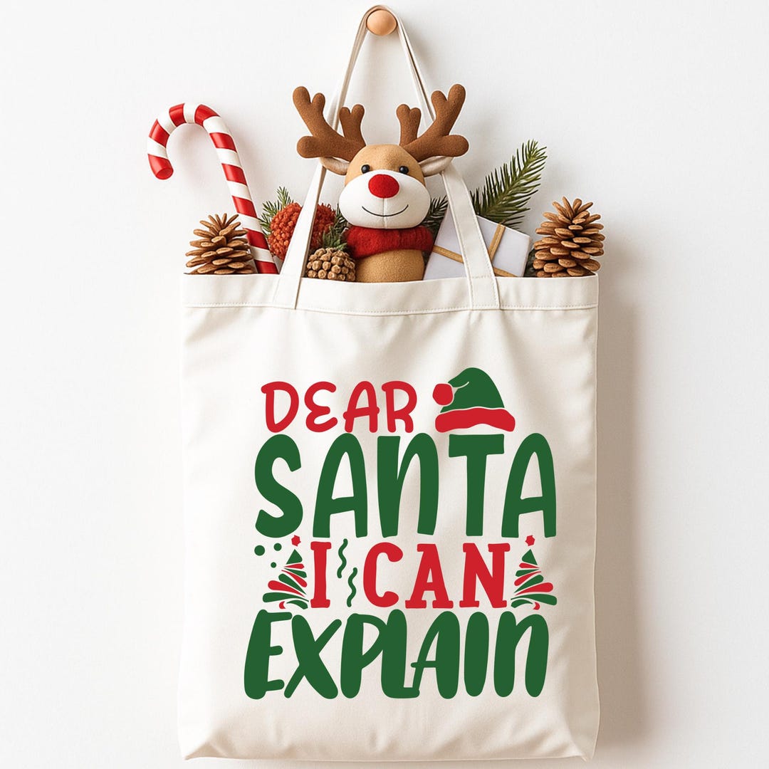 Explaining Gift I Can Explain Tote | Funny Christmas Gift | Eco Canvas Bag - Etsy