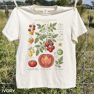 Vintage Tomate botanisches Grafik-T-Shirt, Erbstück-Garten-Plant-Shirt, Retro-Gemüsekunst, Komfortfarben Gärtner-Geschenk-T-Shirt