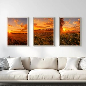 May include: Three rectangular wall art prints in light-coloured frames, each displaying a vibrant sunset over a field with golden orange clouds and dark silhouettes of trees and vegetation, arranged horizontally in a row above a beige sofa.