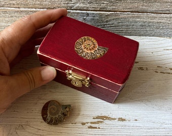 Rock Collection Box with Painted Ammonite Fossil, Jewel Box, Wooden Ring Box, Fossil Collection Storage, Hand Painted on Small Wooden Box