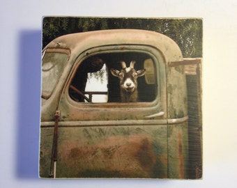 Funny Goat Photo,Truck Driver Goat,Farm Animals Pics,Country Home Gift,Goat Art,Animal Photography,Wall Art,Digital Print on 4x4 wood Panel
