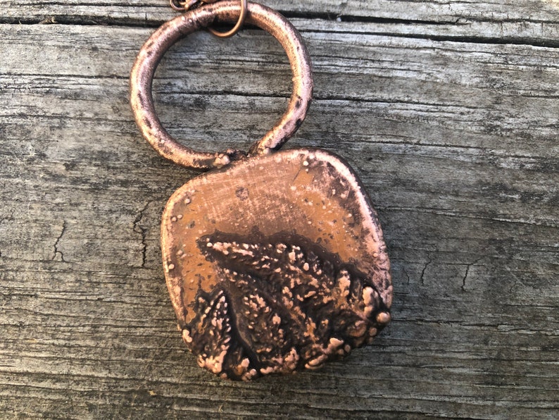 Copper Electroformed Fern Necklace image 3