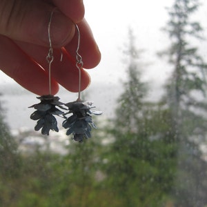 Rustic Woodland Blue Hemlock Pine Cone Eco-Friendly Dangle Earrings image 3