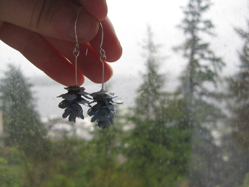 Rustic Woodland Blue Hemlock Pine Cone Eco-Friendly Dangle Earrings image 3