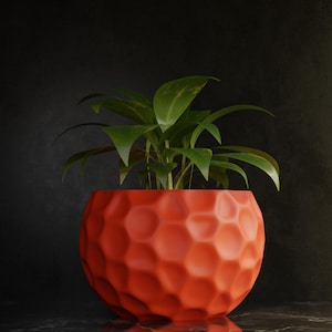 May include: A vibrant orange, textured, spherical planter filled with green leafy plants. The planter has a geometric pattern and sits on a reflective surface. The background is a dark, textured wall.
