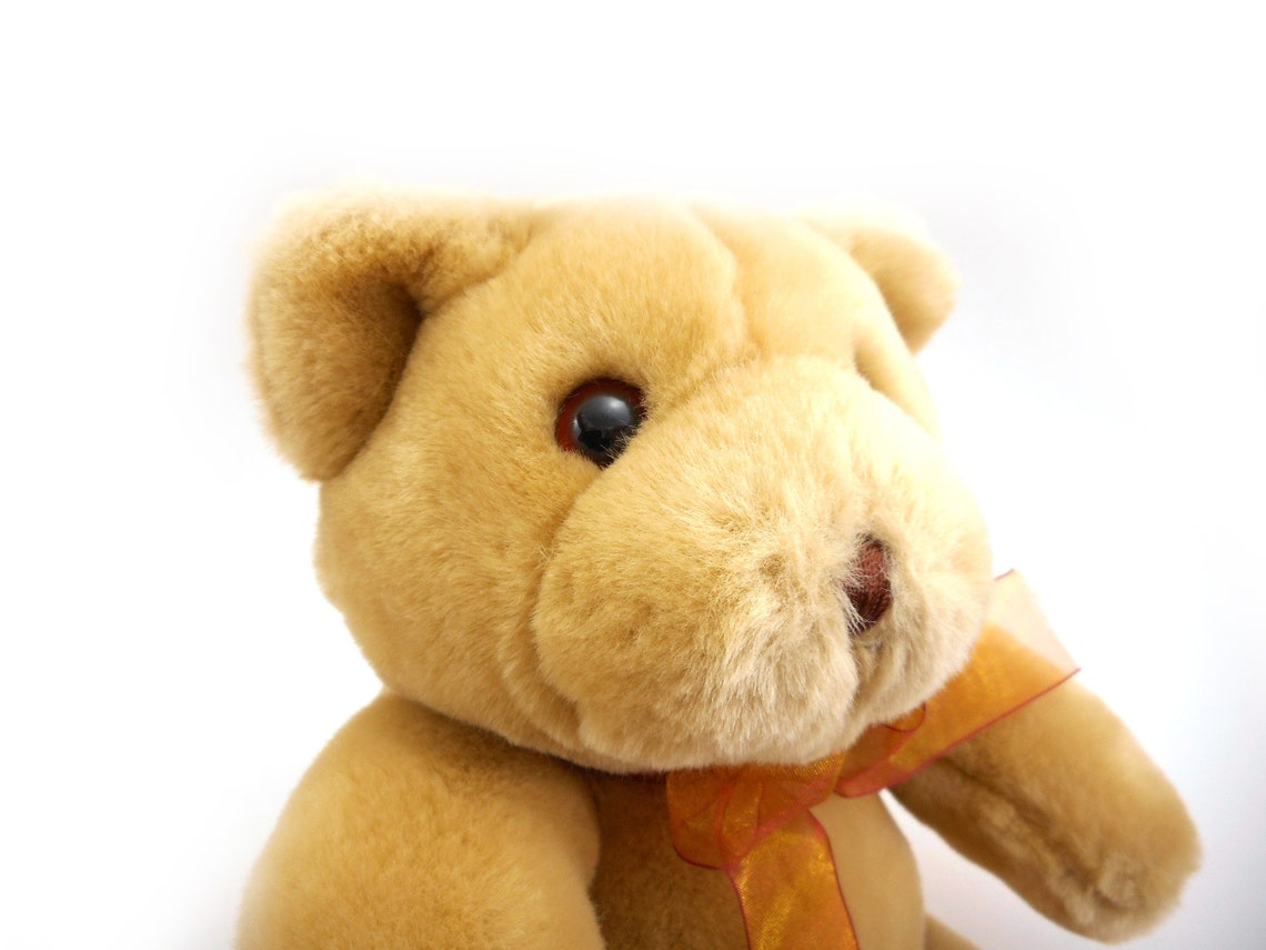 Animal Alley Teddy Bear Toys R Us 2000 Etsy UK