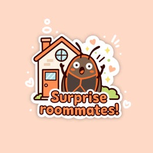 Box elder bug sticker, Ontario bug decal, funny roommate vinyl, insect home humour