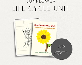 Ciclo de vida del girasol imprimible / Hojas de trabajo de ciencias para preescolar y jardín de infantes / Etapas de crecimiento de las plantas / Paquete de actividades para la educación en casa