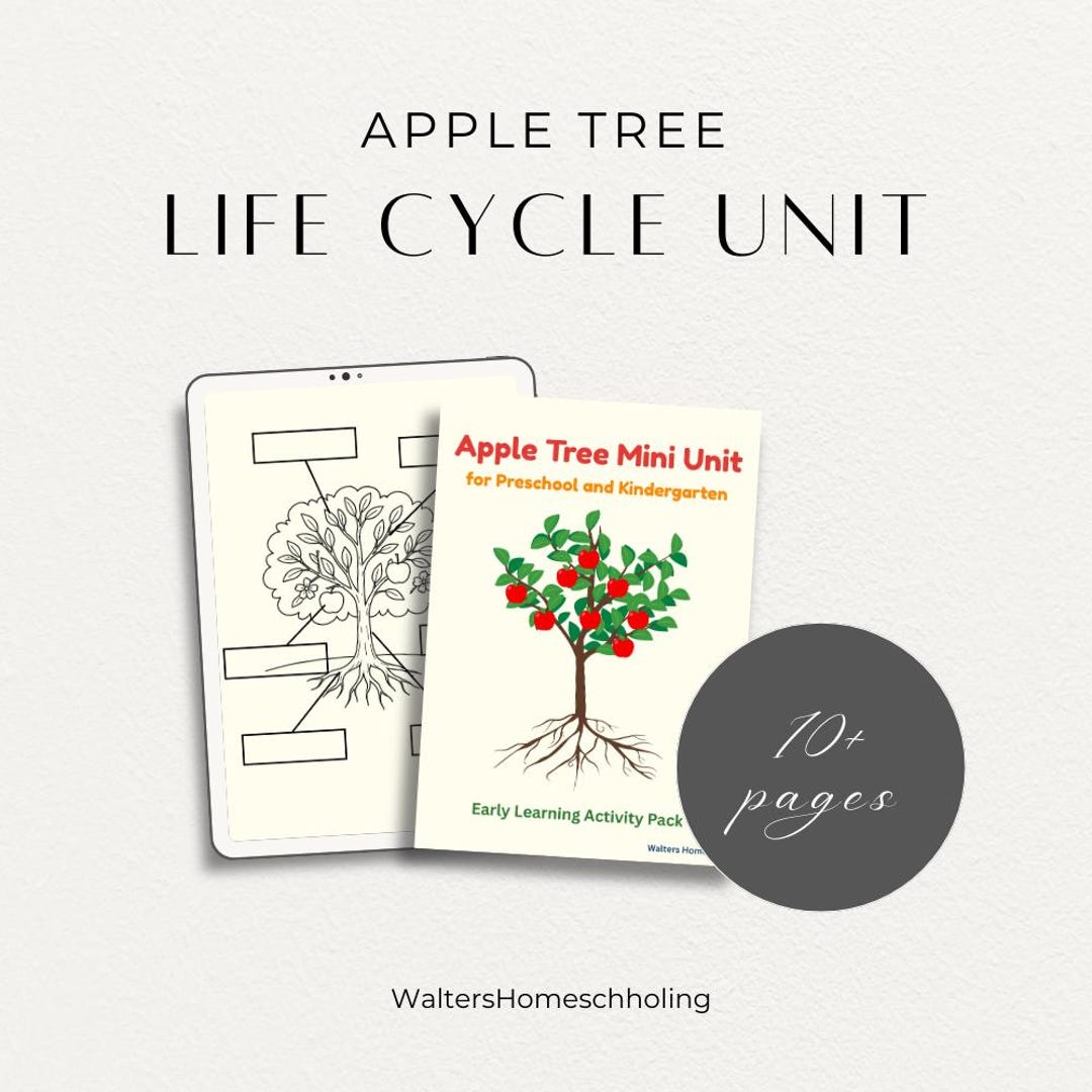 Apple Tree Life Cycle Printable | Preschool & Kindergarten Science ...