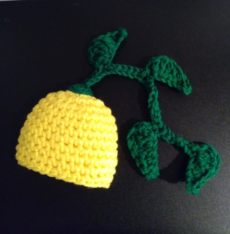 Blueberry Baby Hat Lemon Crochet Hat Baby Crochet Beanie Etsy