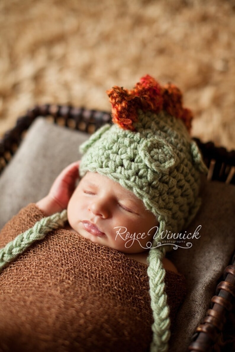 Baby Boy Hat Dinosaur Earflap Crochet Photography Prop Sizes Etsy