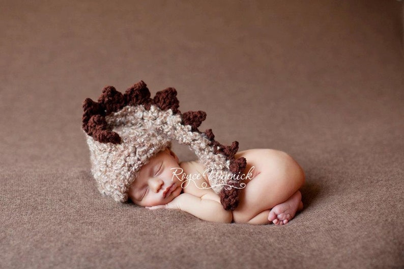 Dinosaur Baby Hat, Stocking Baby Hat, First Birthday Costume, Baby Boy Crochet Hat, Newborn Photography Prop, Coming Home Outfit, Dino Hat image 1
