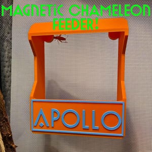 May include: Orange magnetic chameleon feeder with the name "APOLLO" in blue lettering. The feeder has a rectangular design with a top section and a lower section for the name. The text "MAGNETIC CHAMELEON FEEDER!" is written in green.