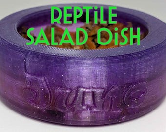 Plato de ensalada personalizado para reptiles: comedero personalizable para dragones barbudos, geckos y más.