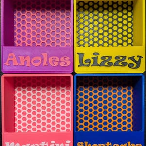 May include: Four colorful, 3D-printed storage boxes. Each box has a honeycomb patterned interior and a name on the front: "Anoles", "Lizzy", "Martini", and "Shortcake". The boxes are purple, yellow, pink, and blue, with contrasting colors for the honeycomb and text.