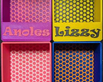 Personalized Live Insect Feeder for Reptiles - Customizable Food Box for Bearded Dragons, Geckos, More