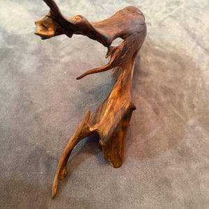 May include: A piece of driftwood with a natural, organic shape. The wood has a rich, dark brown color with lighter, golden-brown highlights. The driftwood has multiple branches and curves, creating an interesting and unique form.
