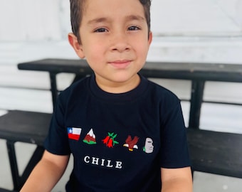 Embroidered T-shirts for boys - Chile