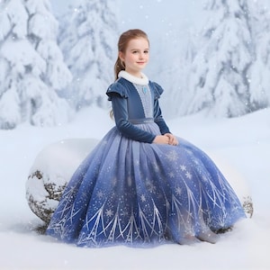 elsa frozen winter dress Elsa dress, Elsa costume, princess dress, Frozen dress, toddler princess dress, comfortable princess dress, handmade dress, Loverdovershop