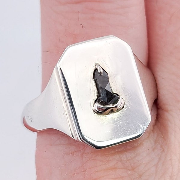 Mature Salt and Pepper Diamond Penis Signet Ring, Gay Wedding Band, Penis Ring, His and His, Cockring, Big Dick Energy, Same Sex, BDSM, Sex