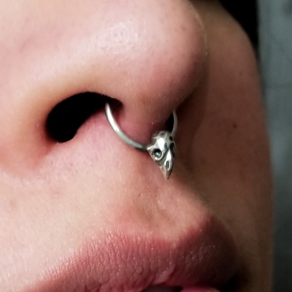 Tiny Bird Skull Septum Piercing, Body Jewelry, Skull Nose Ring, Raven, Gothic, Punk, Halloween, Faux Taxidermy, Witchy, Unisex, Helix, Daith