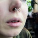 Spider Web Septum Nose Ring, Arachnid, Halloween, Witch, Witchy, Gothic, Spooky, Daith, Body Jewelry Piercing, Nipple, Spiderweb, 16G, 18G 