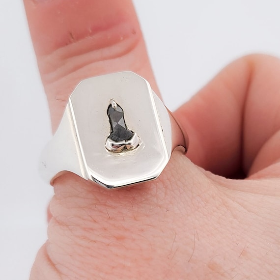 Mature Salt and Pepper Diamond Penis Signet Ring, Gay Wedding Band, Penis  Ring, His and His, Cockring, Big Dick Energy, Same Sex, BDSM, Sex